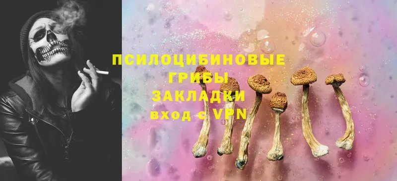 Галлюциногенные грибы Psilocybe  Белебей 